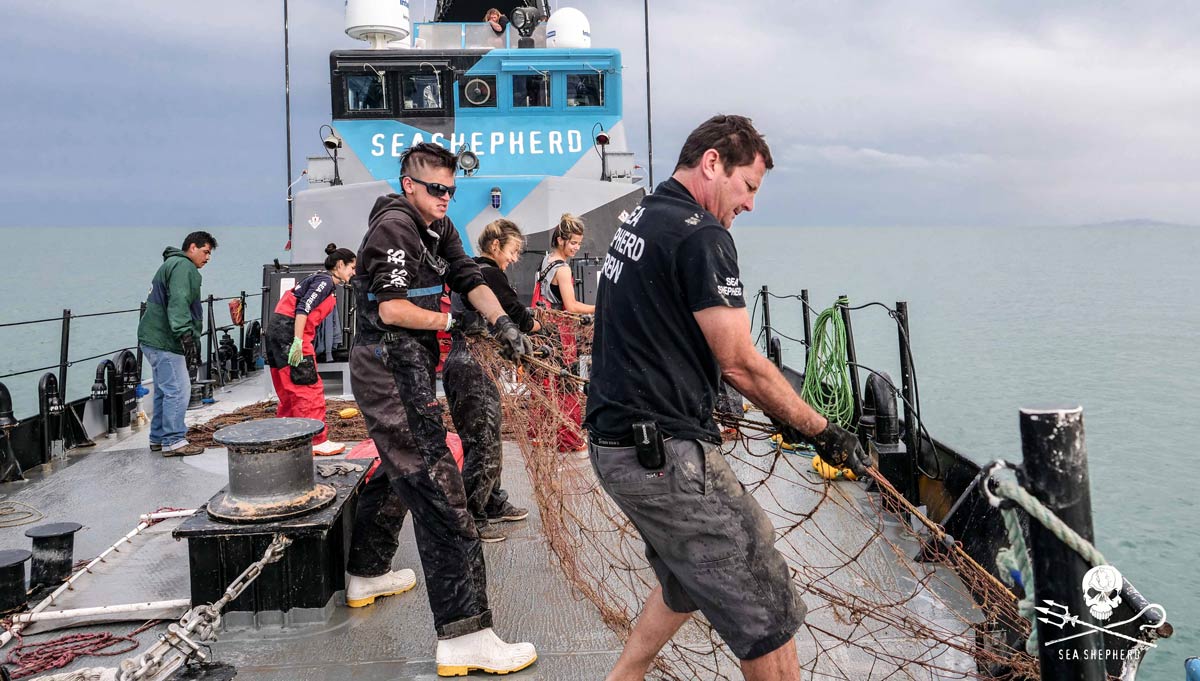 A day in the life of a Sea Shepherd chef