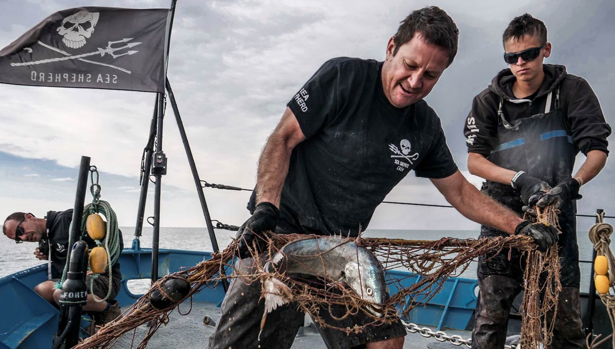 From superyacht captain to sea shepherd